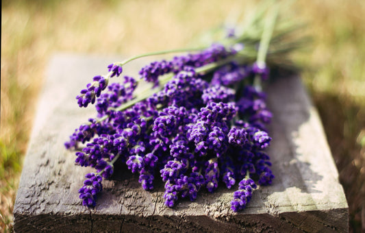 How to Put Yourself to Sleep with Lavender
