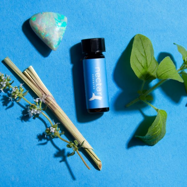 a small amber 'nectar essences' bottle with a blue label, surrounded by natural elements on a bright blue background. Elements include a triangular raw opal with iridescent flashes, a bundle of dried lemongrass stalks with small purple flower clusters, and a sprig of fresh green oregano leaves.
