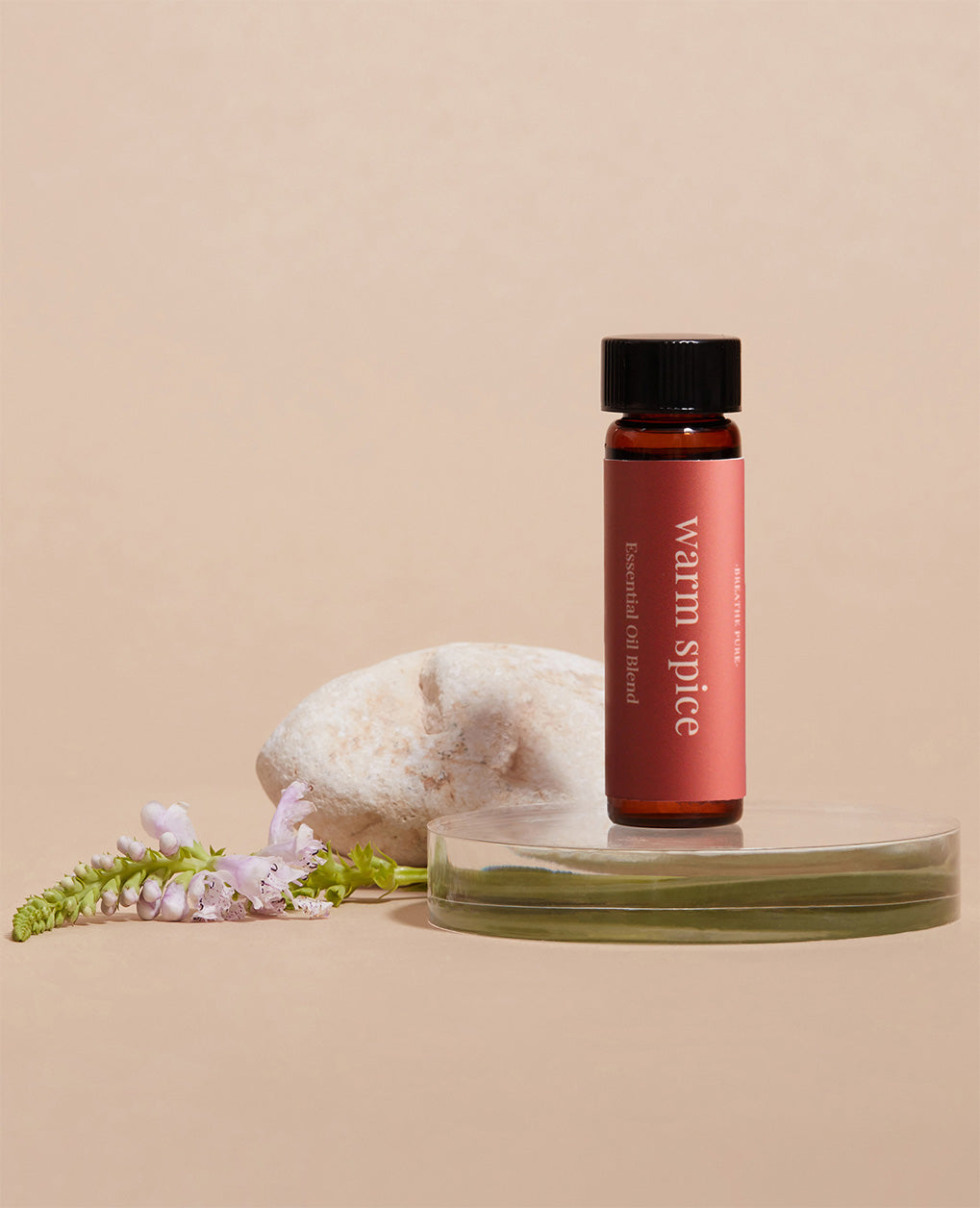 warm spice diffuser oil