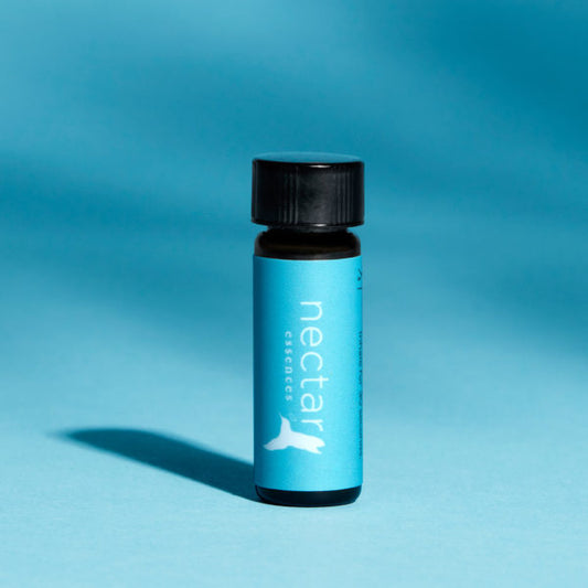 Calm+ Aromatherapy | Golden Milk Nectar Essences bottle with gemstone-infused formula for relaxation and emotional balance