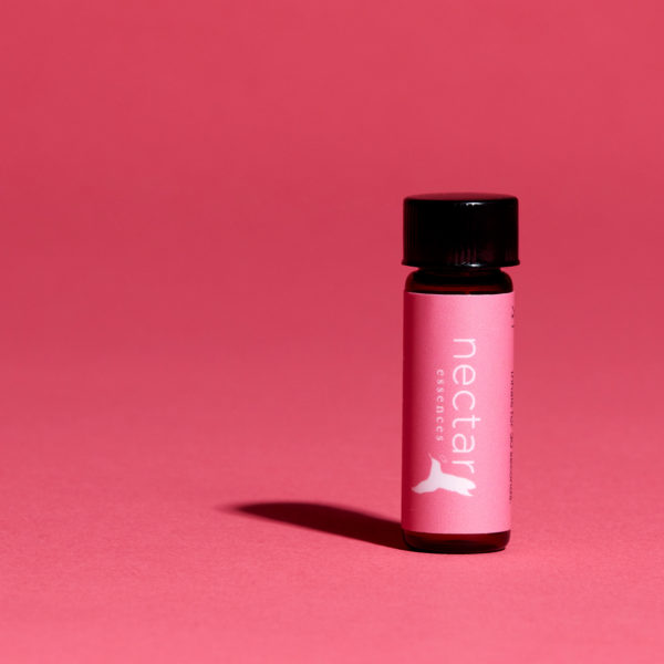 Vertical close-up of the small amber essential oil bottle against a vibrant pink background. The label is clearly visible, showing the white text 'nectar essences' oriented vertically