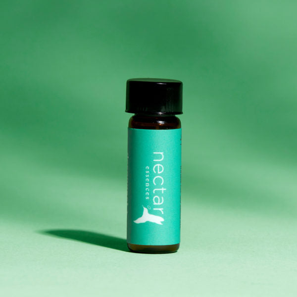 Vertical close-up of the small essential oil bottle against a rare green background. The label is clearly visible, showing the white text 'nectar essences' oriented vertically.