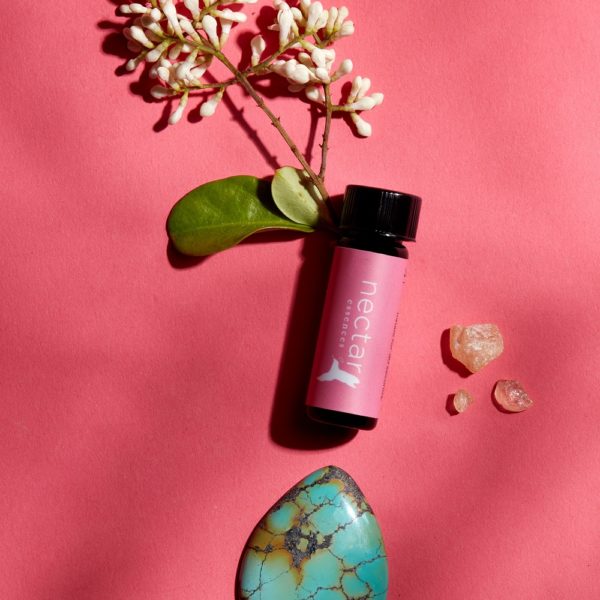 essential oil bottle with a pink 'nectar essences' label, next to a polished turquoise stone, pink crystals, and a sprig of white flowers on a magenta background.