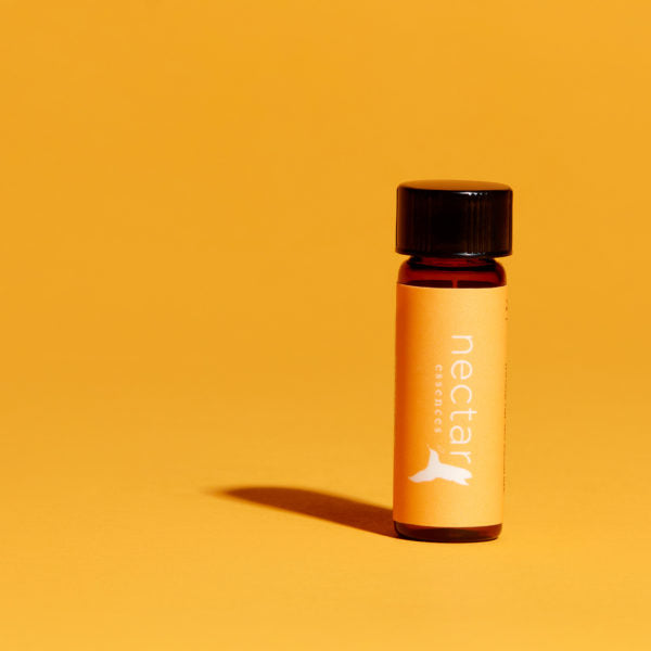 Vertical close-up of the small amber essential oil bottle against a vibrant yellowbackground. The label is clearly visible, showing the white text 'nectar essences' oriented vertically