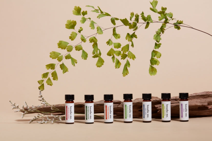 Set of seven amber essential oil bottles labeled 'breathe me.' with various small color strips, displayed in a row on a piece of natural wood, beneath a delicate green fern frond on a beige background.