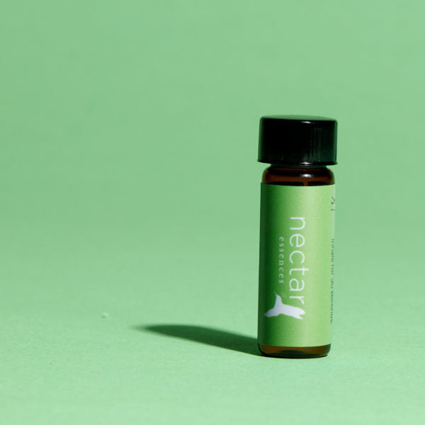 Vertical close-up of the small amber essential oil bottle against a vibrant pale green background. The label is clearly visible, showing the white text 'nectar essences' oriented vertically