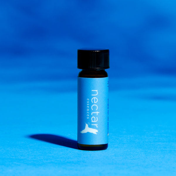 Vertical close-up of the small amber essential oil bottle against a vibrant sea blue background. The label is clearly visible, showing the white text 'nectar essences' oriented vertically.