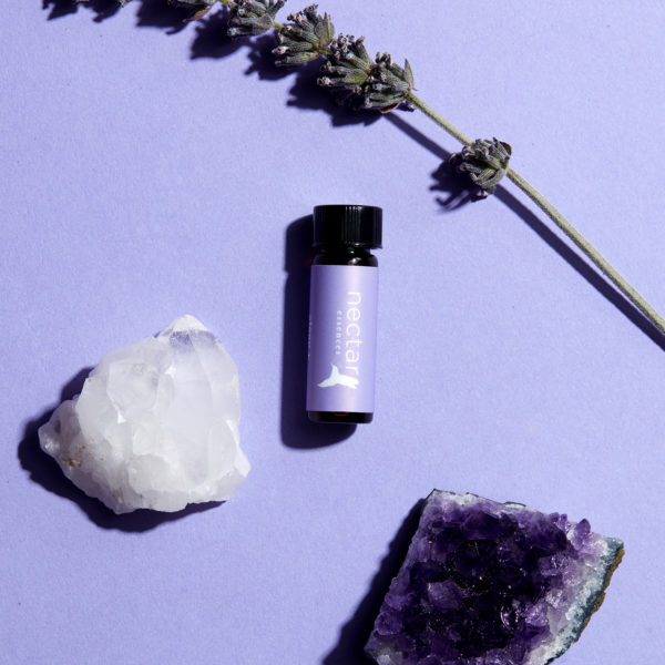 essential oil bottle with a light purple 'nectar essences' label, placed between a clear quartz cluster and a deep purple raw amethyst piece, with a sprig of lavender across the top, all on a lavender background.