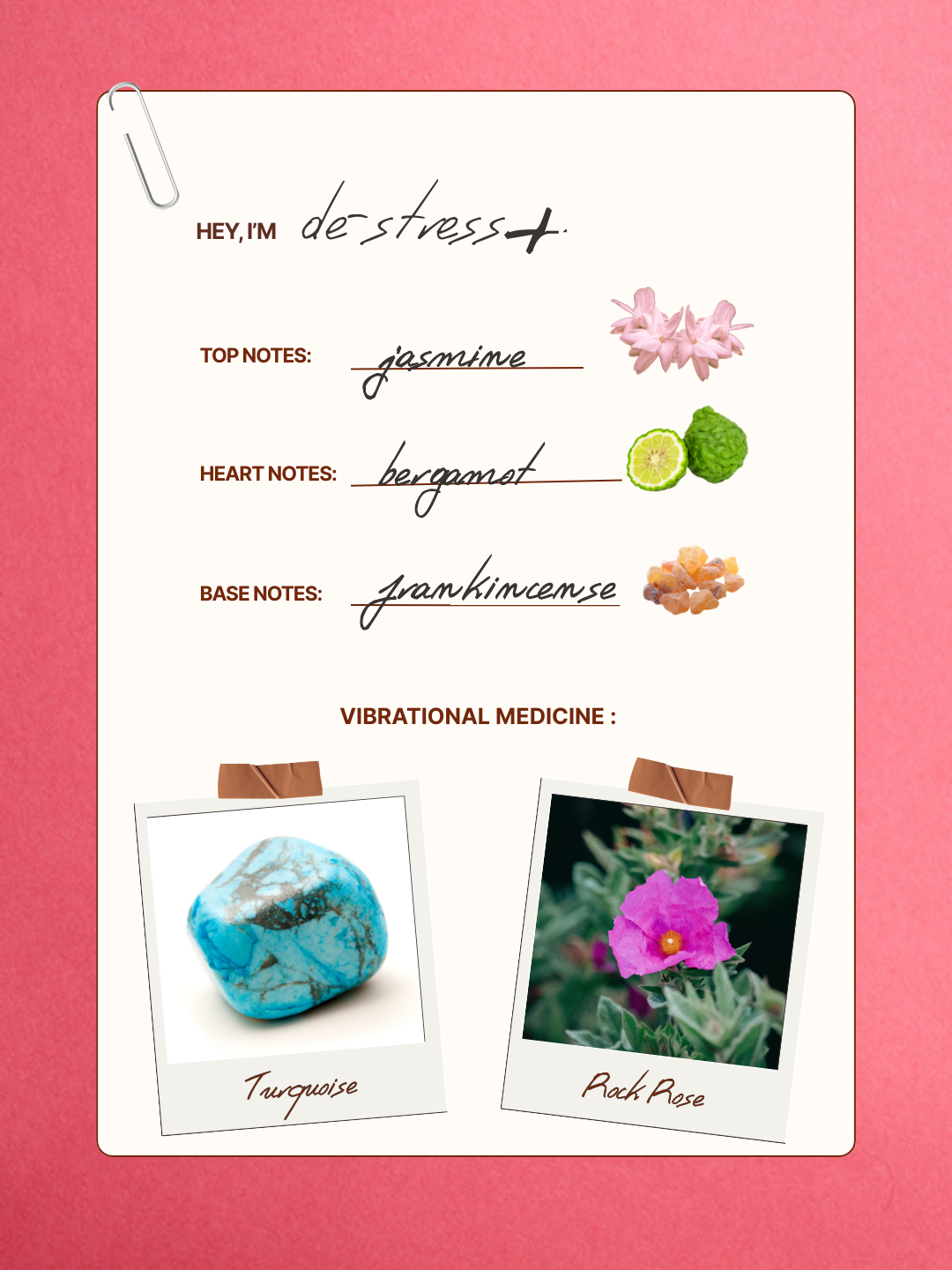Infographic for Bliss Spray showing fragrance notes: Jasmine (top), Ylang Ylang (heart), and Palo Santo (base). It also features vibrational medicine elements including Amethyst and San Pedro Cactus shown in polaroid-style photos.