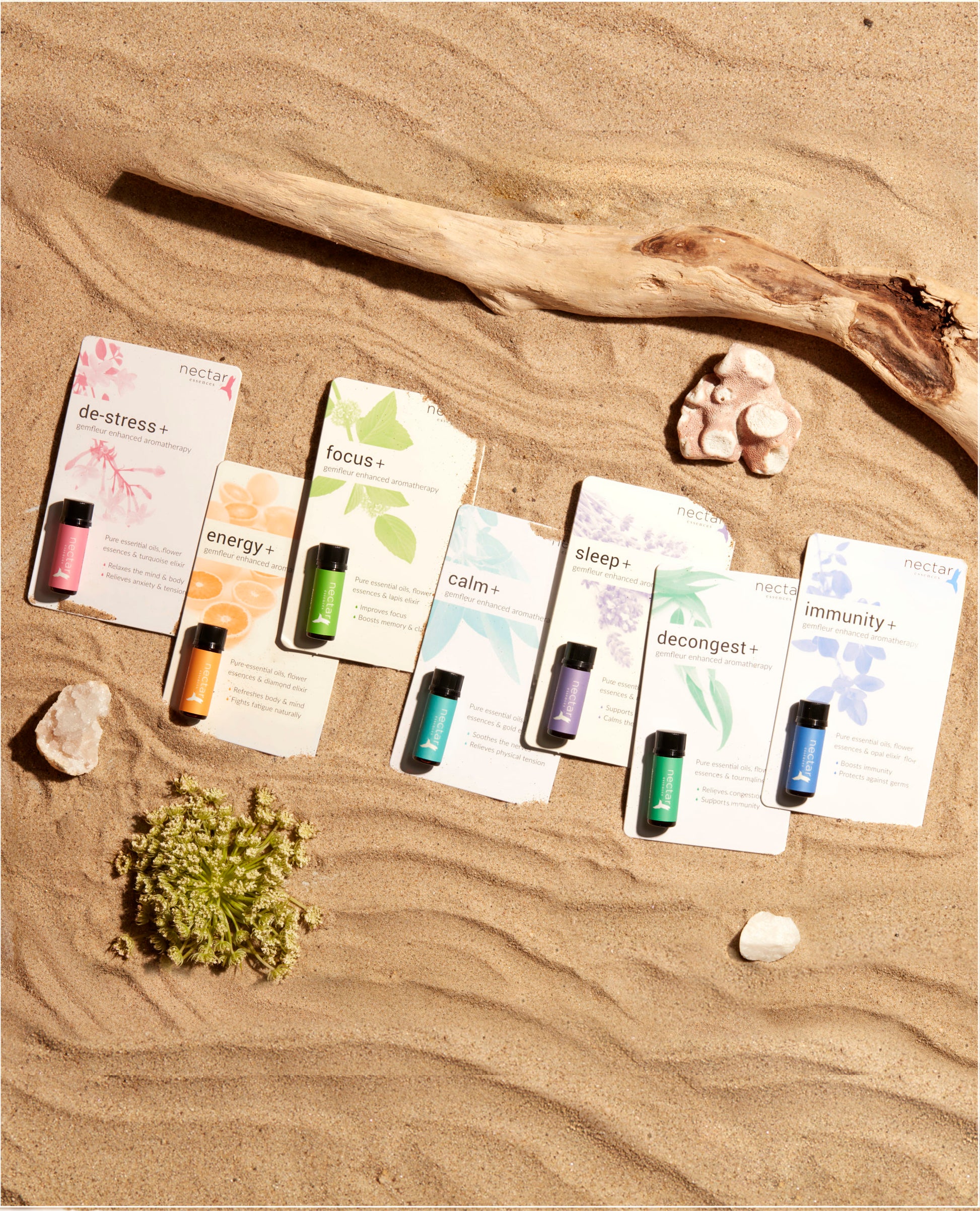 A selection of essential oil bottles and information cards laid out on a sandy surface, with small plants and stones around.